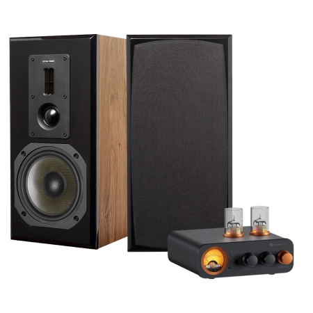 Dynavoice Definition DM-6II med Fosi Audio MC331, stereopakke i gruppen Pakkeløsninger / Pakker til hjemmet / Stereopakker hos BRL (SETDM6IIPKT3)
