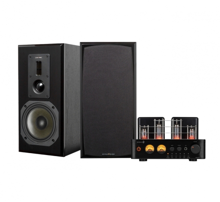 Dayton Audio HTA100 & Dynavoice DM-6II, sort stereopakke i gruppen Pakkeløsninger / Pakker til hjemmet / Stereopakker hos BRL (SETHTA100PKT2)