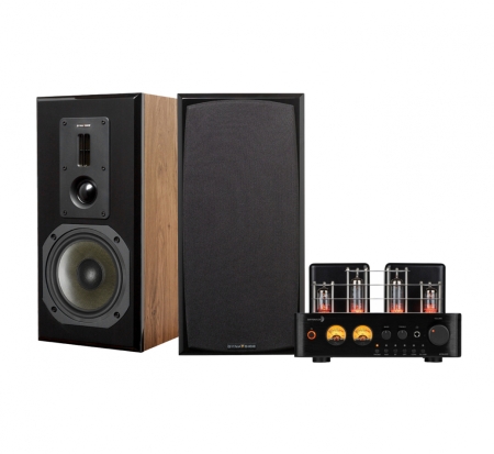 Dayton Audio HTA100 & Dynavoice DM-6II i eg, stereopakke i gruppen Pakkeløsninger / Pakker til hjemmet / Stereopakker hos BRL (SETHTA100PKT3)