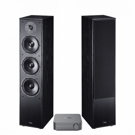 Wiim Amp & sorte Magnat MS70, 2.0 stereopakke i gruppen Pakkeløsninger / Pakker til hjemmet / Stereopakker hos BRL Electronics (SETMS70BPKT7)