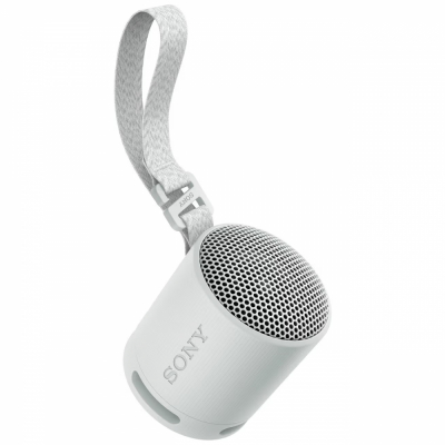 Sony SRS-XB100, bærbar højttaler, grå
