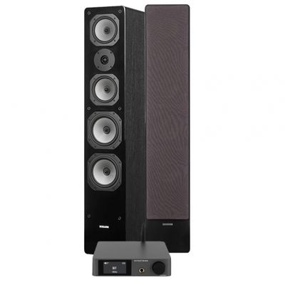 Dynavoice CA802BT & Challenger M-65 i svart, stereopaket