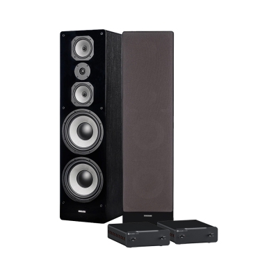 Dynavoice Challenger M-105 med dobbel Fosi Audio monoblok, stereopakke