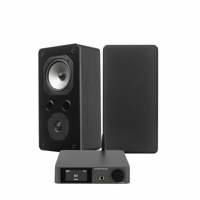 Dynavoice CA802BT & Challenger S-5S vit, stereopaket