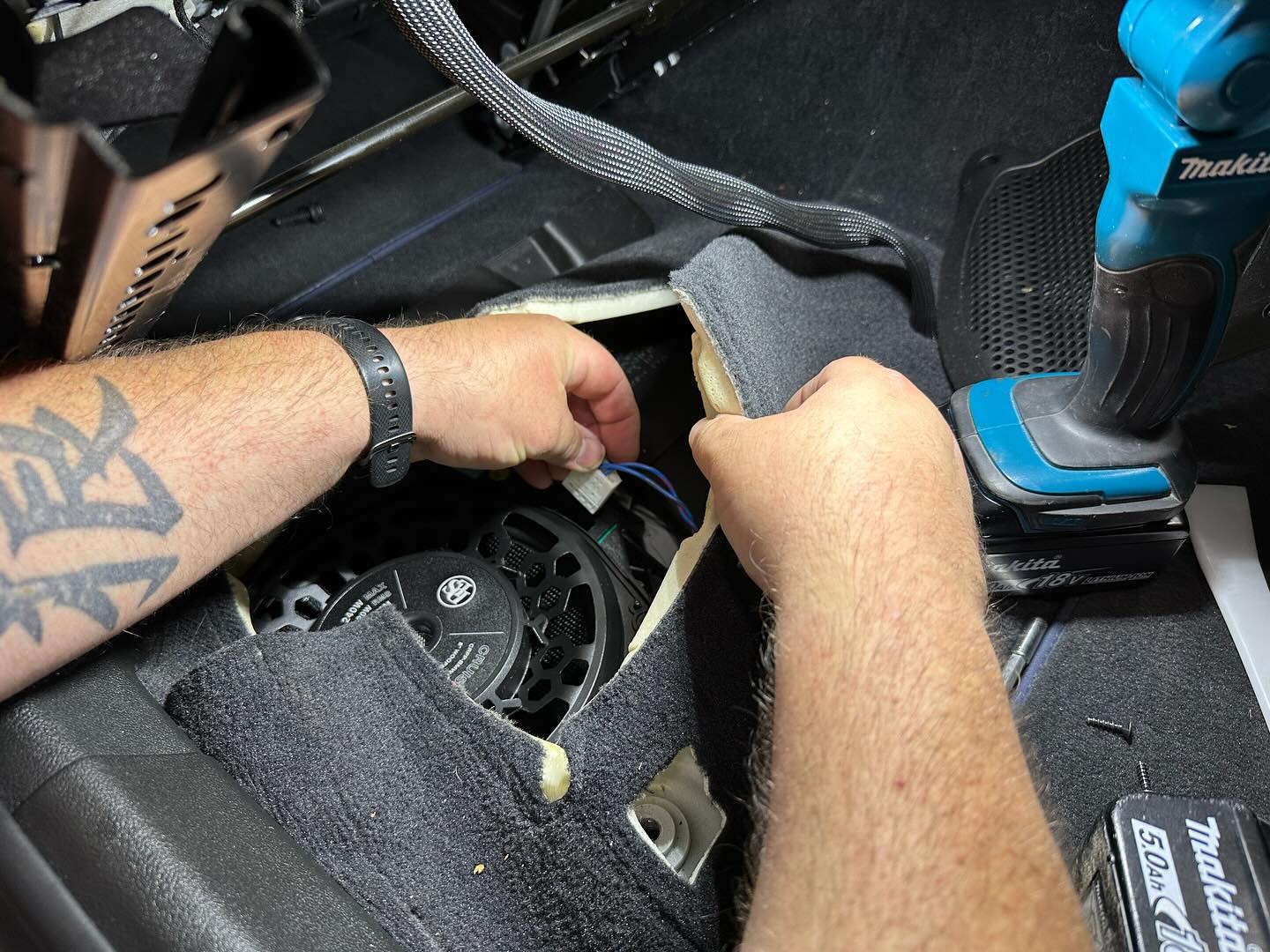 DLS Cruise CRPP-BMW1.84