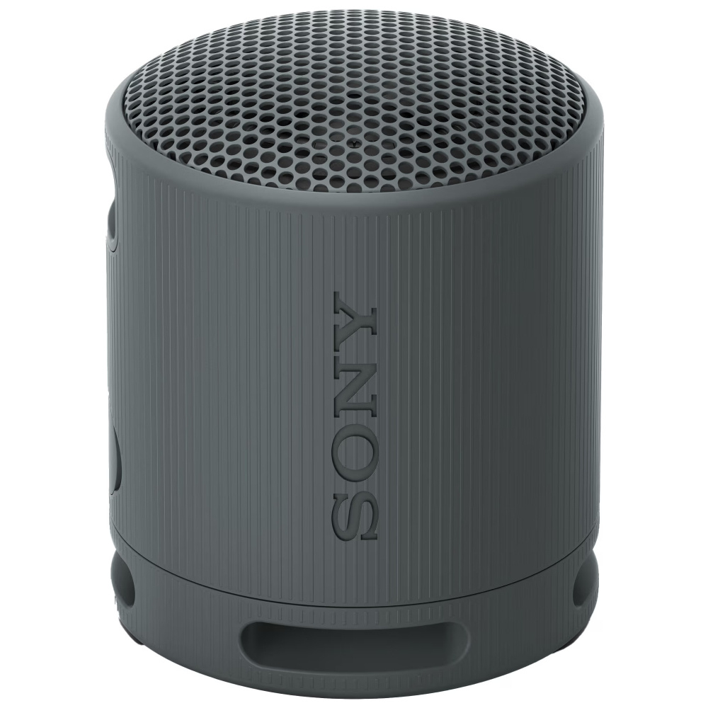 Sony SRS-XB100, bærbar højttaler, sort