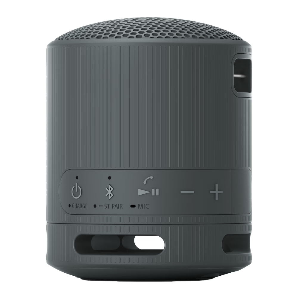 Sony SRS-XB100, bærbar højttaler, sort