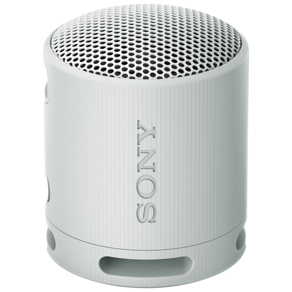 Sony SRS-XB100, bærbar højttaler, grå
