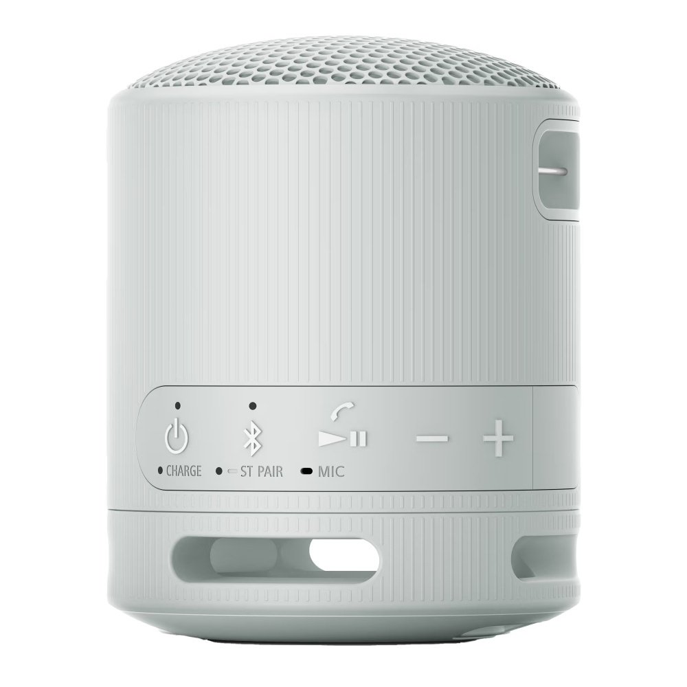 Sony SRS-XB100, bærbar højttaler, grå