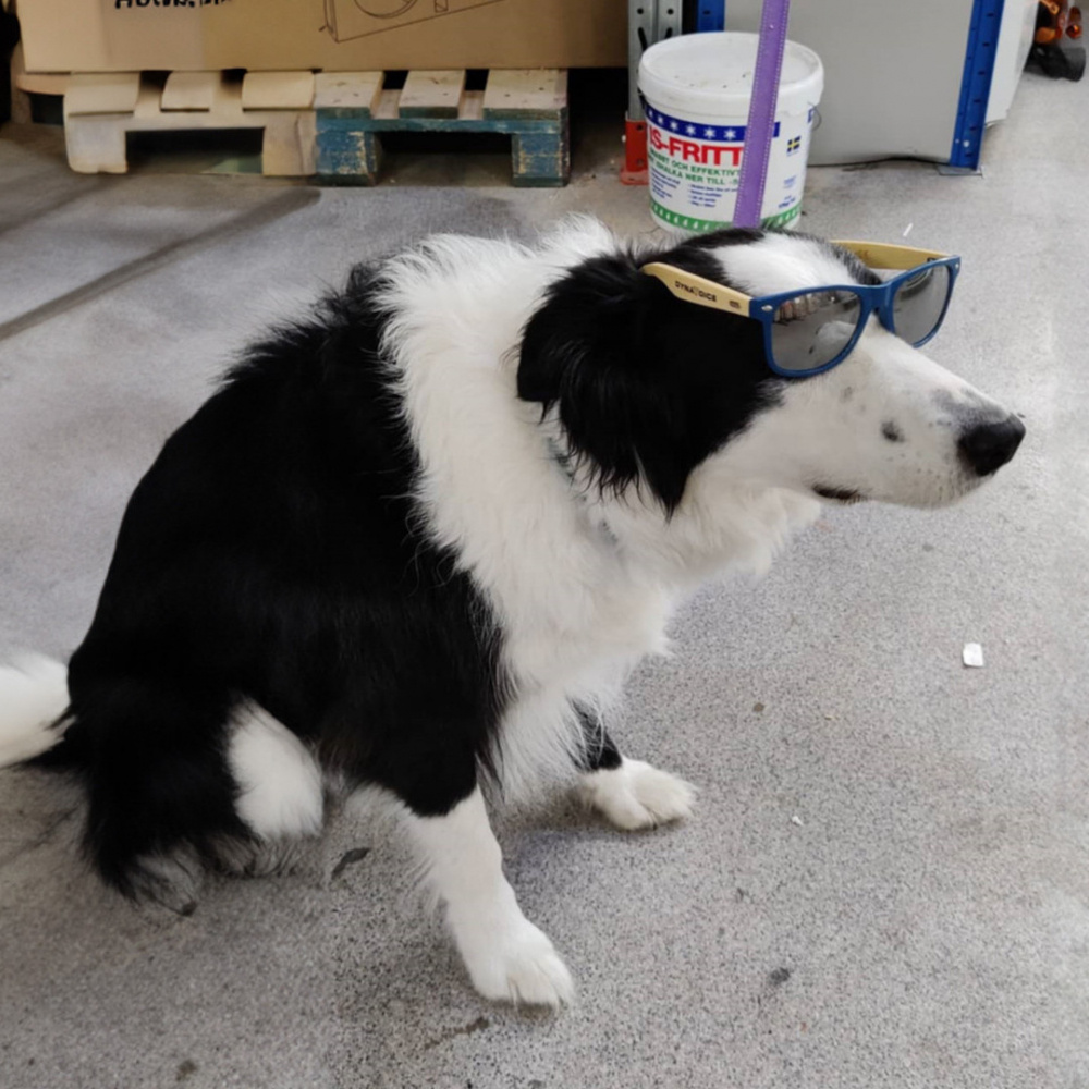 Tershine Furrify - Pet Shampoo, dyreshampoo, 500 ml