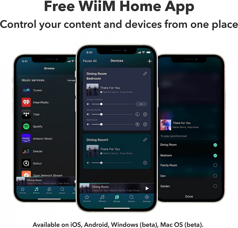 WiiM Pro, trådløs netværksstreamer med Tidal Connect, Chromecast & AirPlay 2