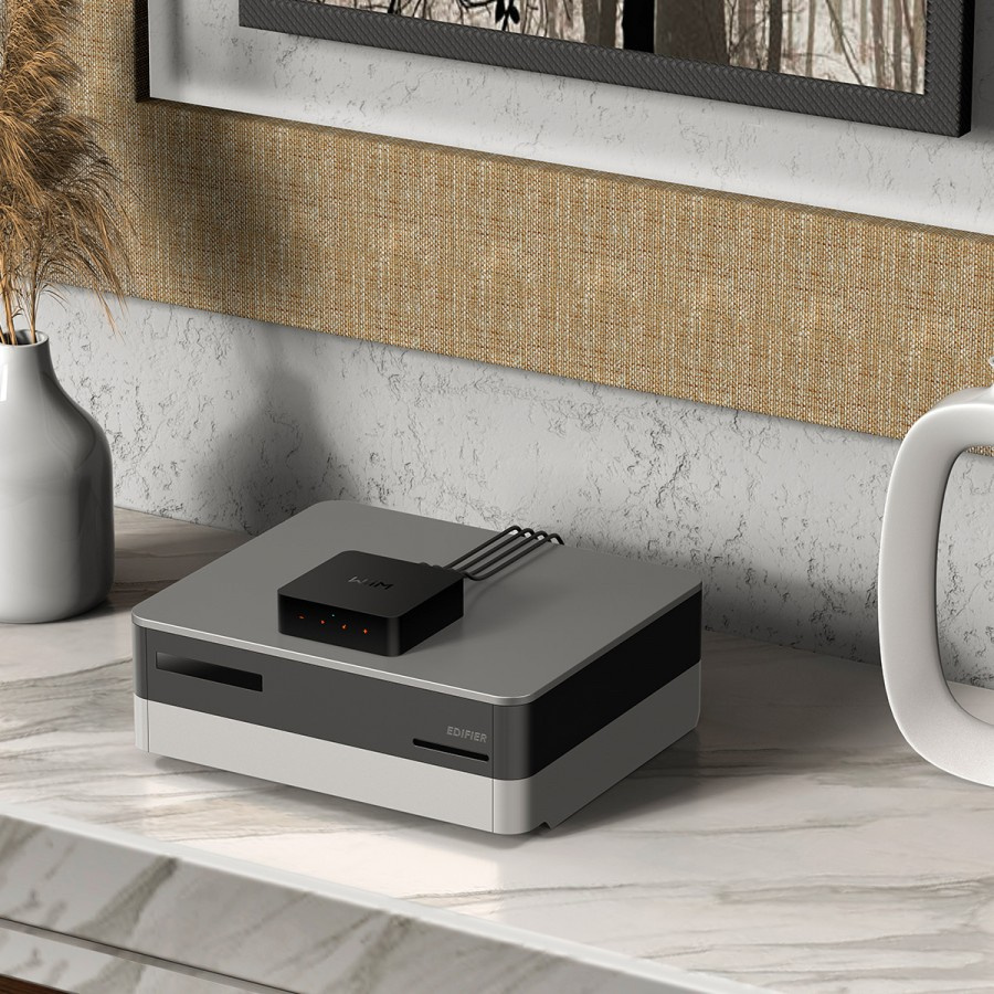 WiiM Pro, trådløs netværksstreamer med Tidal Connect, Chromecast & AirPlay 2