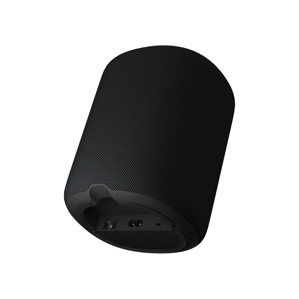 WiiM Sound smart højttaler med skærm, sort