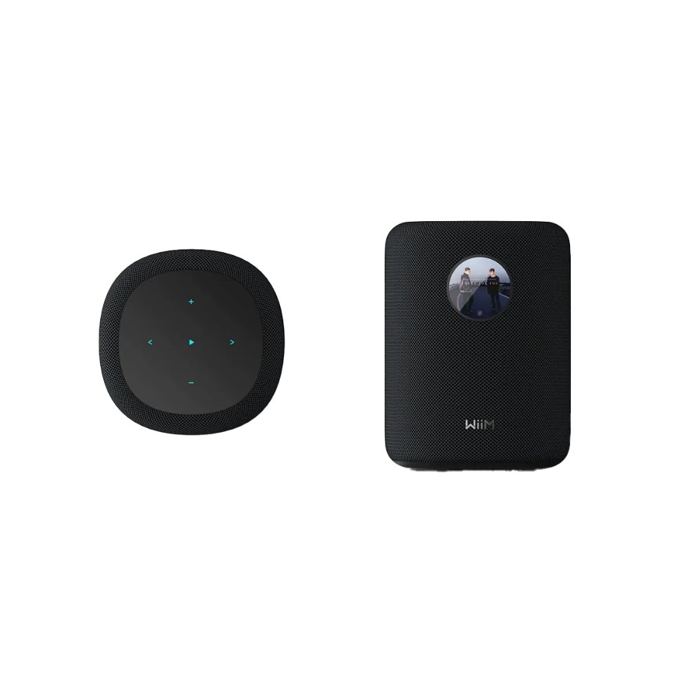 WiiM Sound smart højttaler med skærm, sort