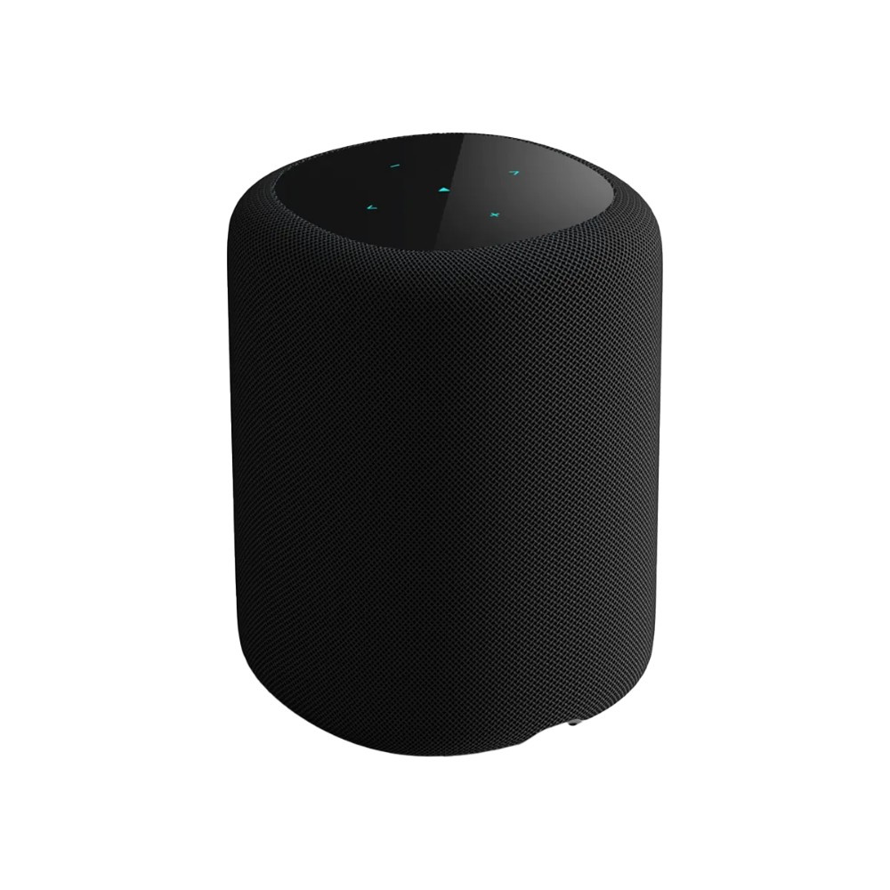 WiiM Sound smart højttaler med skærm, sort