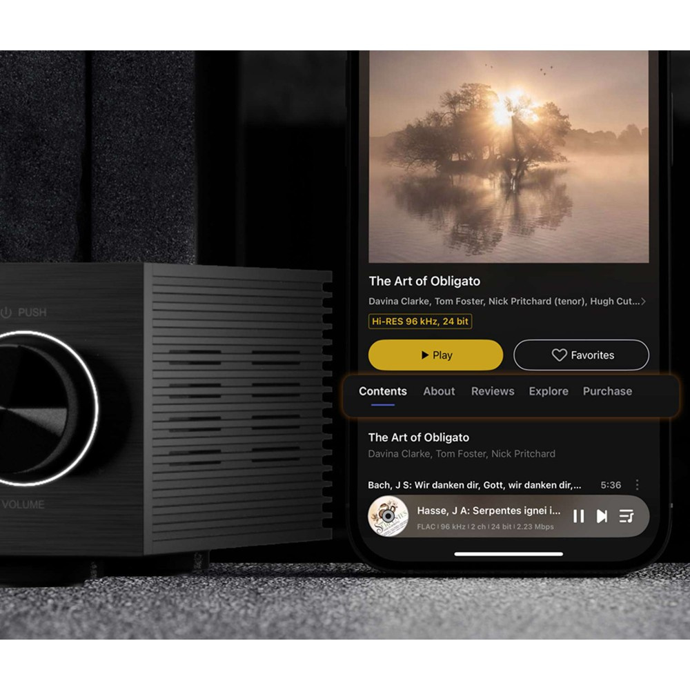 Eversolo DMP-A6 Gen 2 netværksafspiller, sort