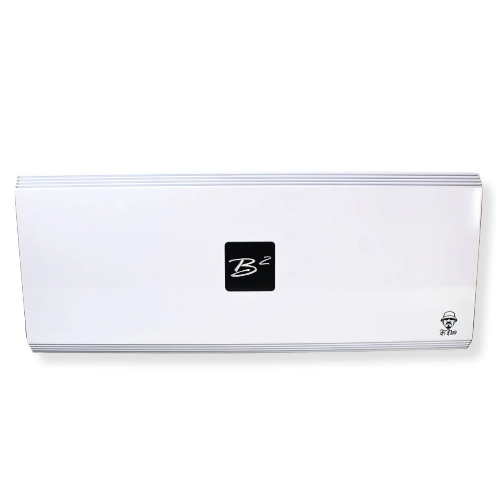 B² Audio El Cholo, vanvittigt strømsvagt monoblok