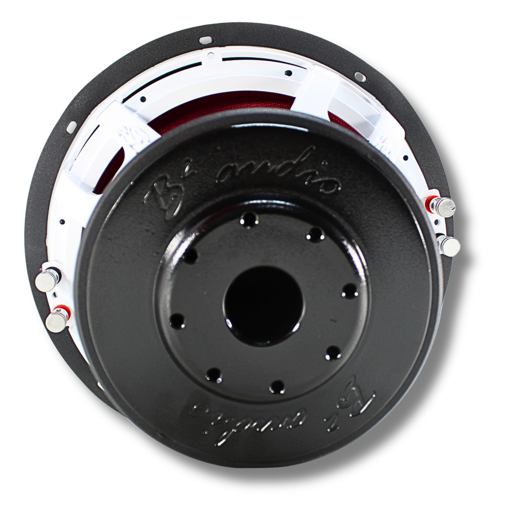 B2 AUDIO RIOT D4 V2, 2X4 Ohm 12-tums bas