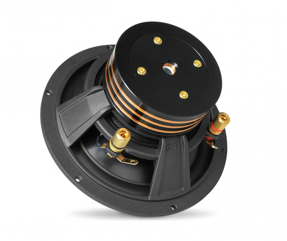 RG Sound Labs RG 6.1 Pro Speakers, 2-vejs 6.5 tommer kitsystem