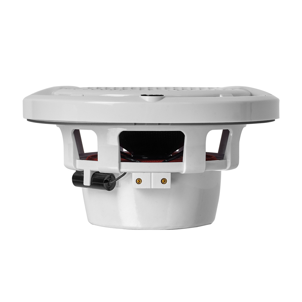 DLS Alive A6XW 6.5 tommers marine koaksialhøjttaler, hvid