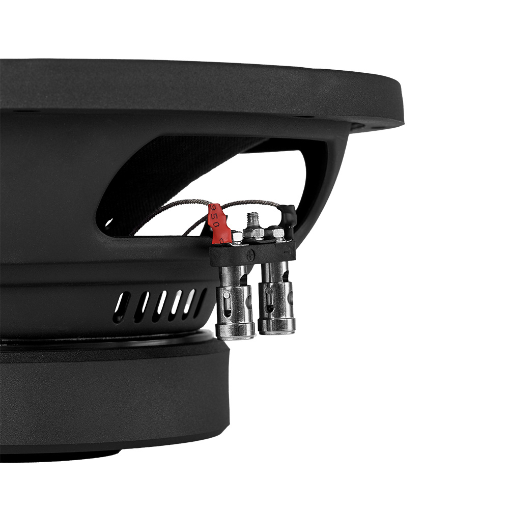 DLS Performance PE10.D2, 10 tommer bas