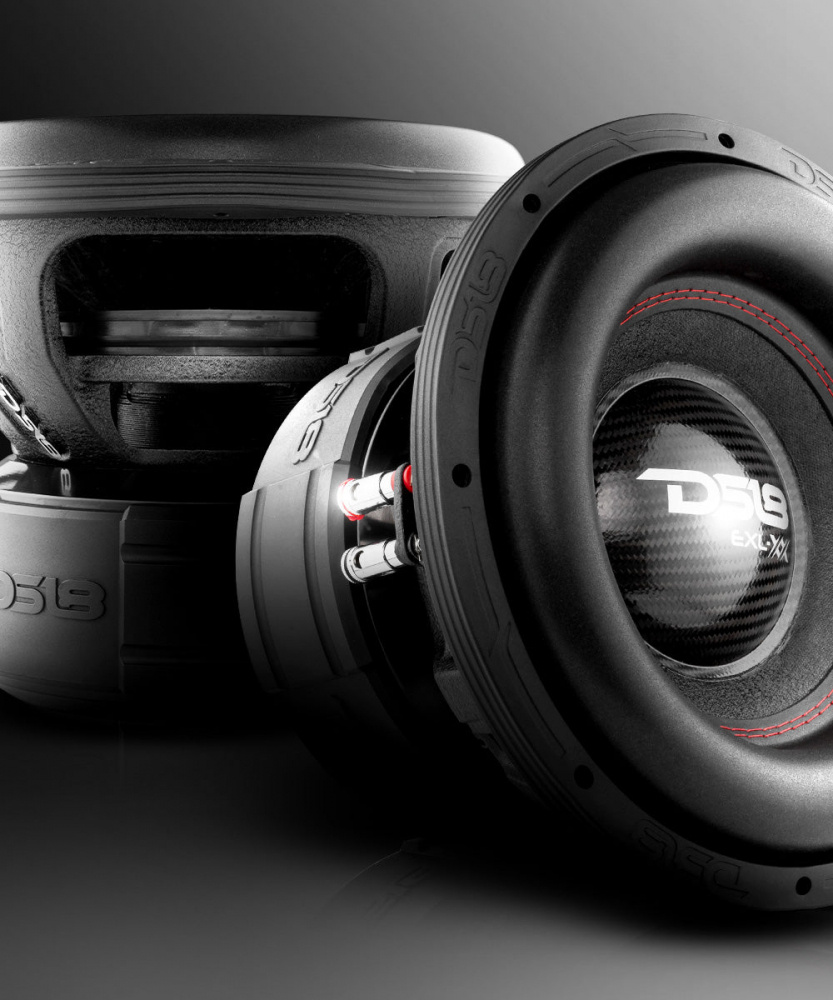 DS18 EXL-XX12.4DHE, brutal 12 tommer bas