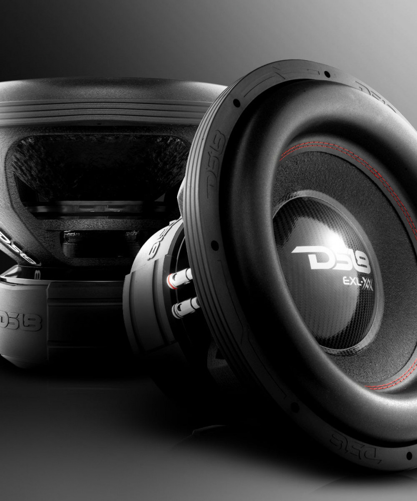 DS18 EXL-XX15.4DHE, brutal 15 tommer bas