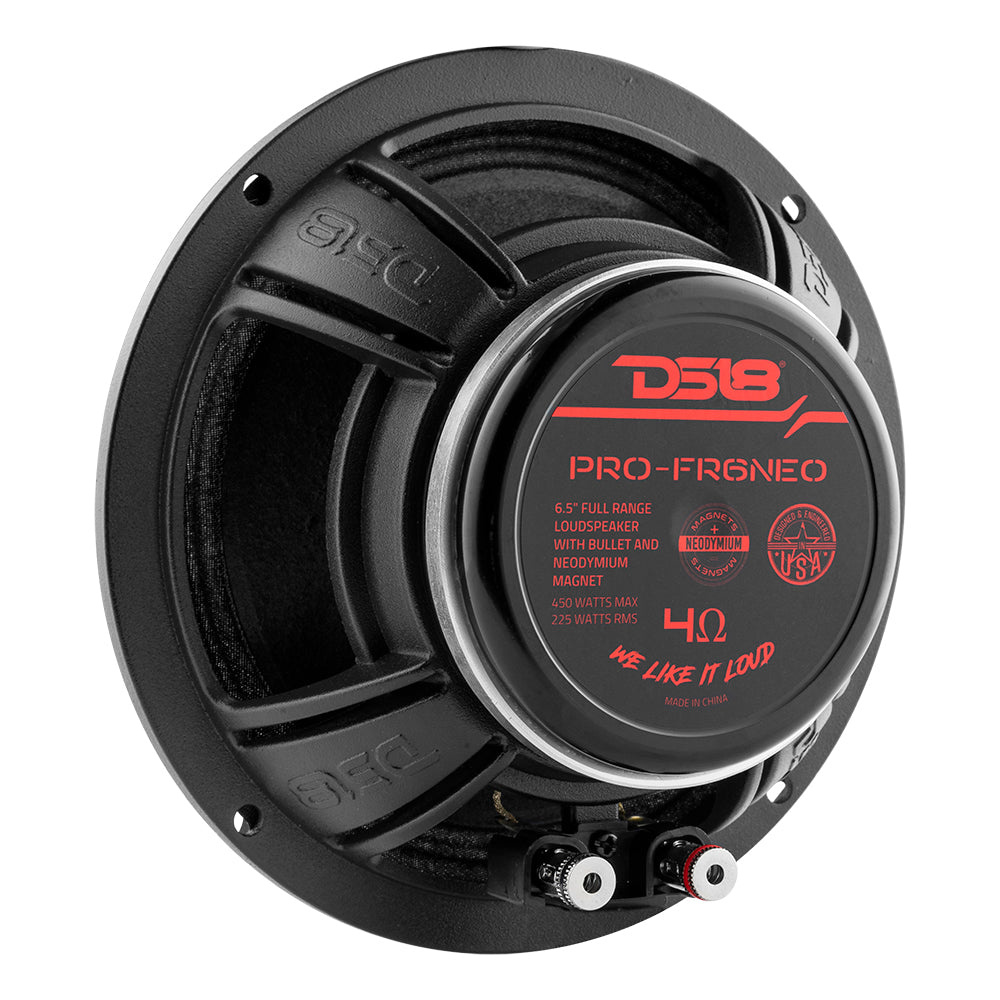 DS18 PRO-FR6NEO, 6.5