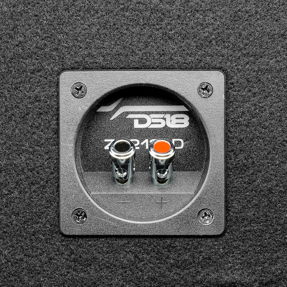 DS18 ZR212LD, portet 2x12 tommer basboks