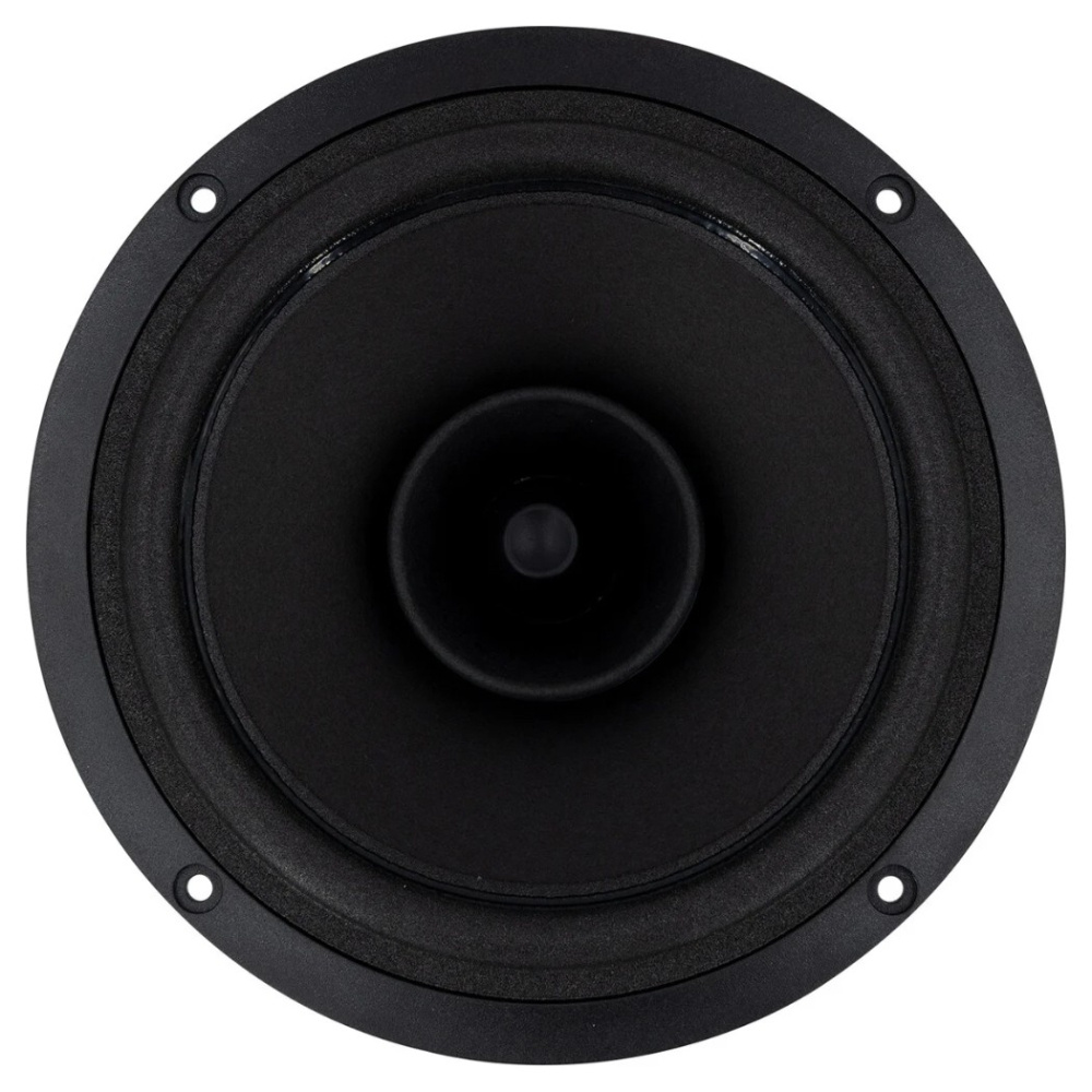 SB Acoustics SB16FRPC25-7, 6 tommer fullrange