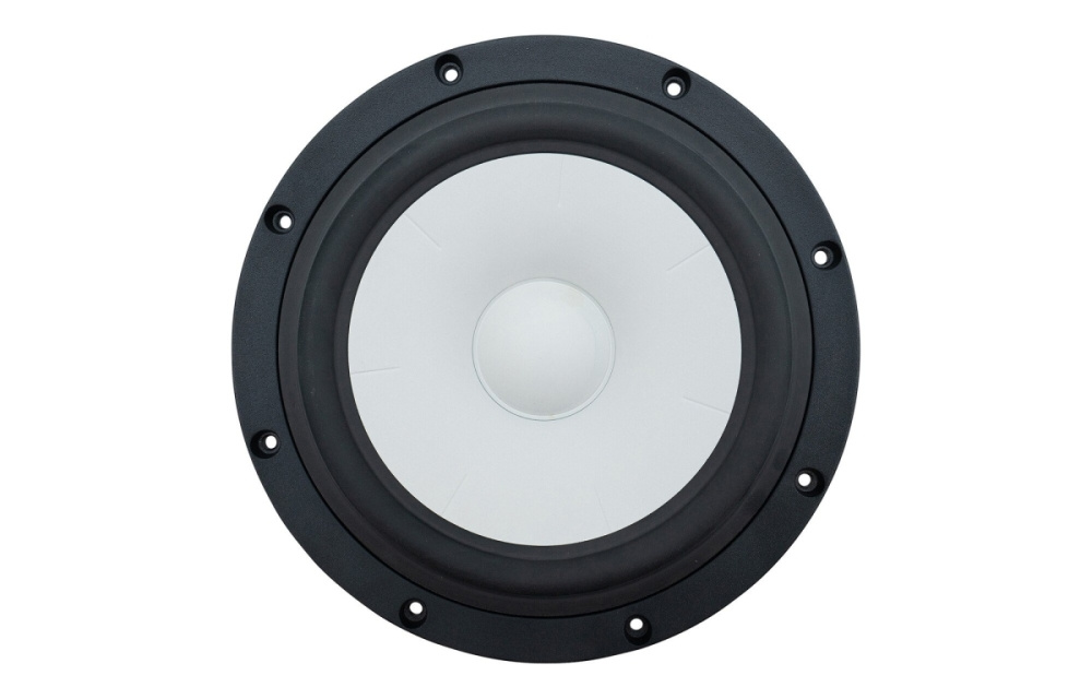 SB Acoustics SB23CACS45-4, 234 mm bas/mellemtone