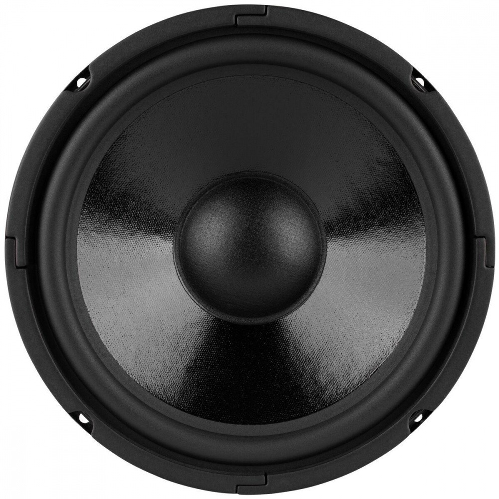 Dayton Audio DC250-8, 10tums midbas