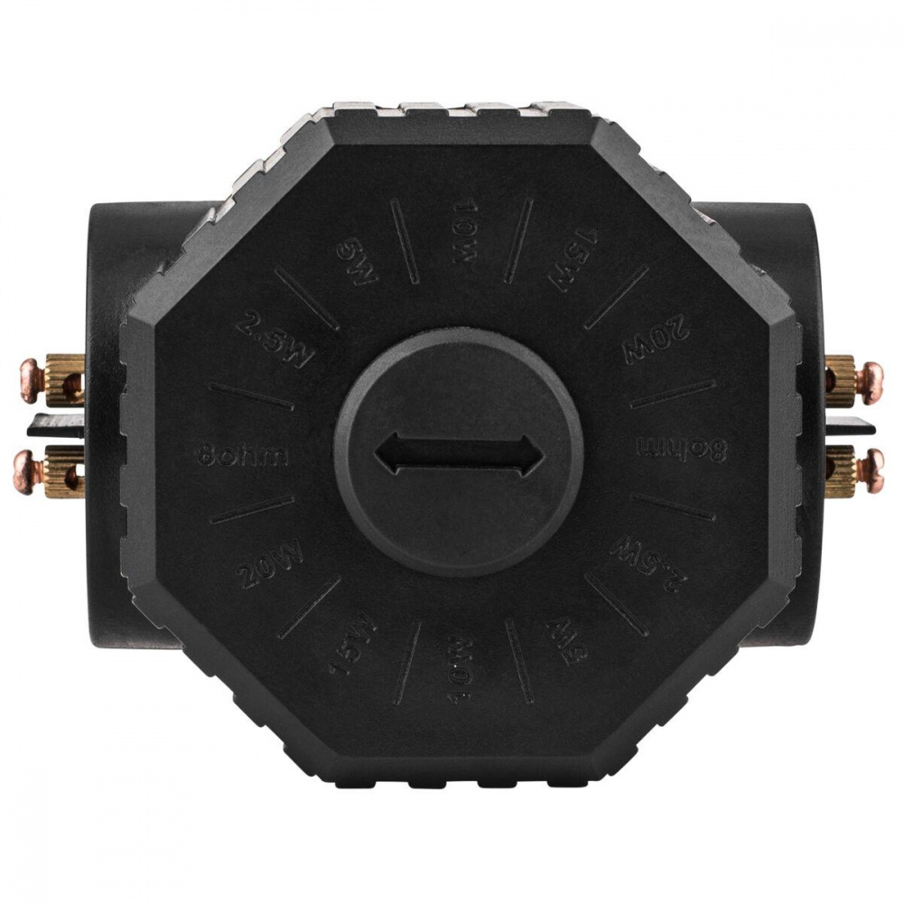 Dayton Audio WPT70V, transformator från 8 Ohm till 70/100V