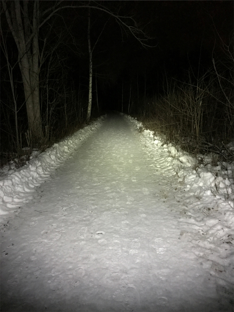 Nizled LED Pannlampa/Ficklampa, 10W