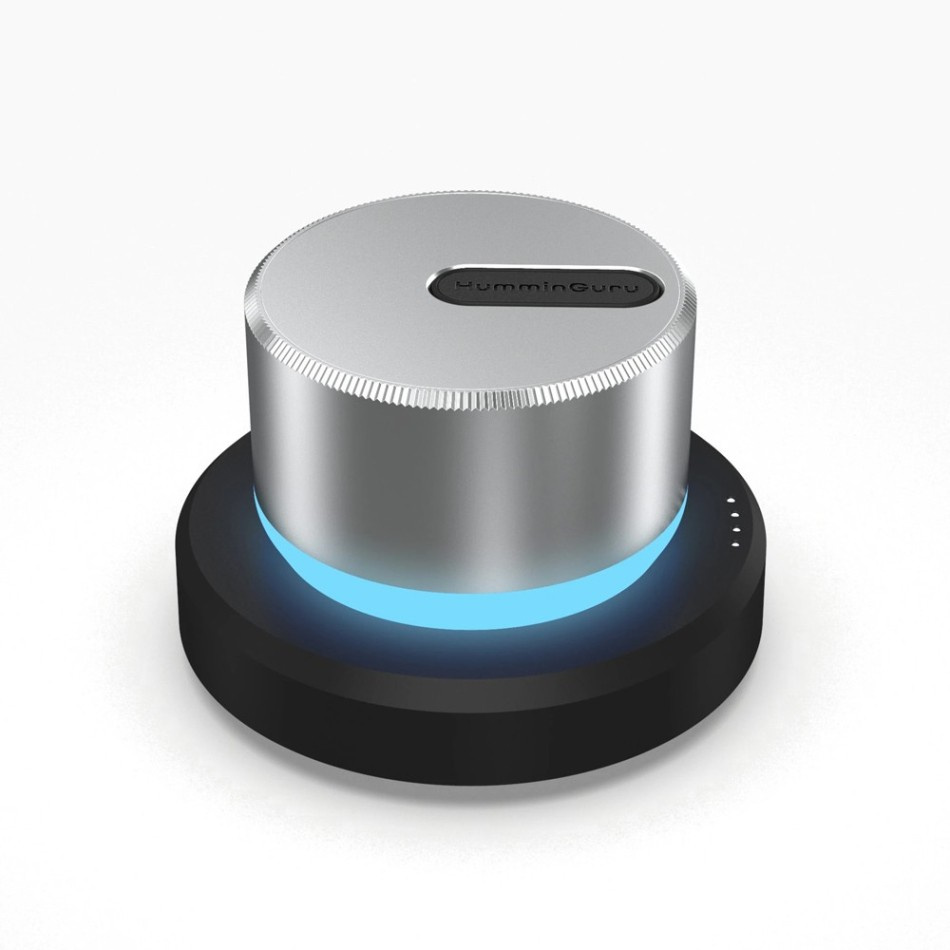 HumminGuru LUMI Record Stabilizer, pladepuck
