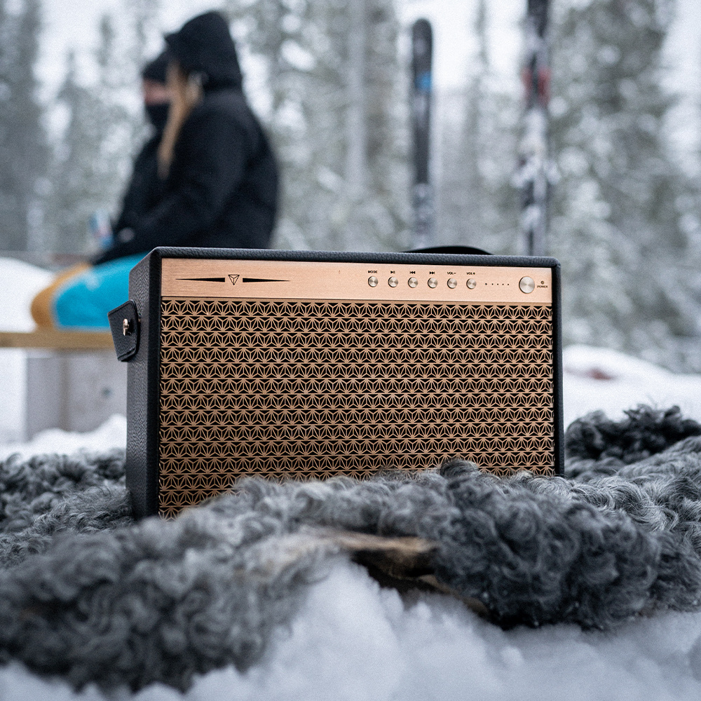 Dynavoice Classic CL-14A, Bluetooth-højttaler