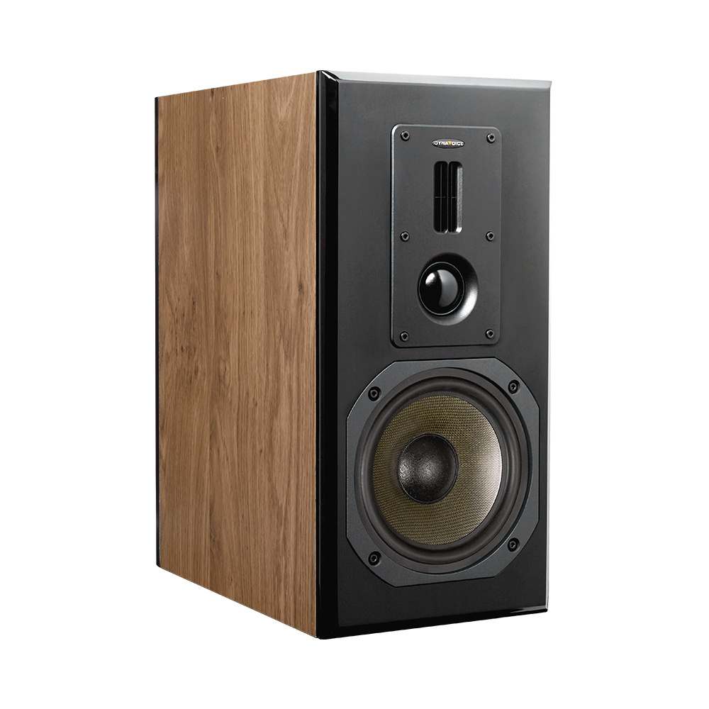 Dynavoice Definition DM-6II standerhøjttaler, eg