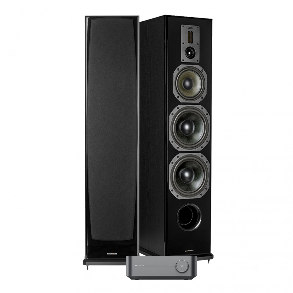 WiiM Amp Pro & Dynavoice Definition DF-8, kraftfuldt 2.0 stereopakke