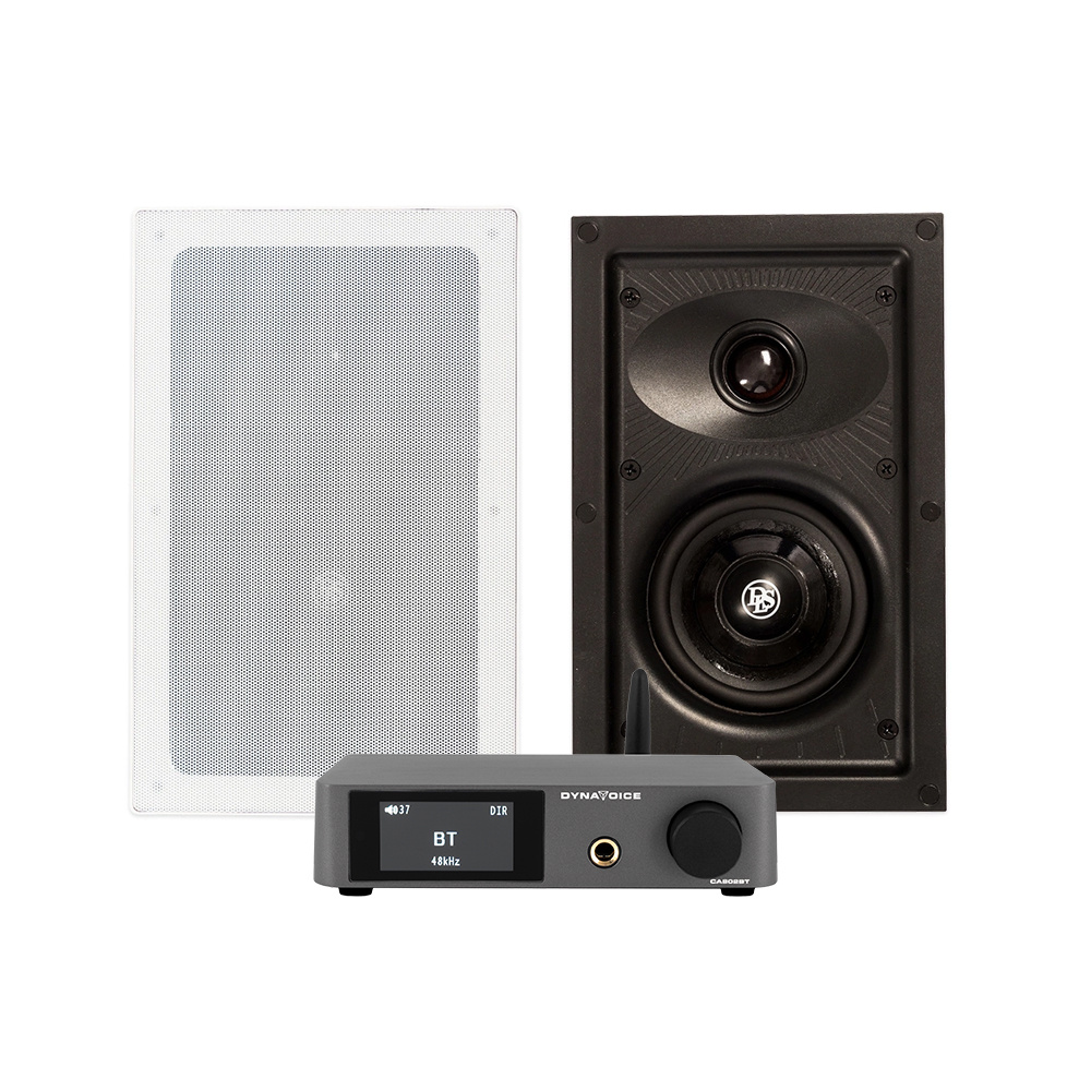 DLS IW 2.4 & Dynavoice CA802BT, indbygningspakke