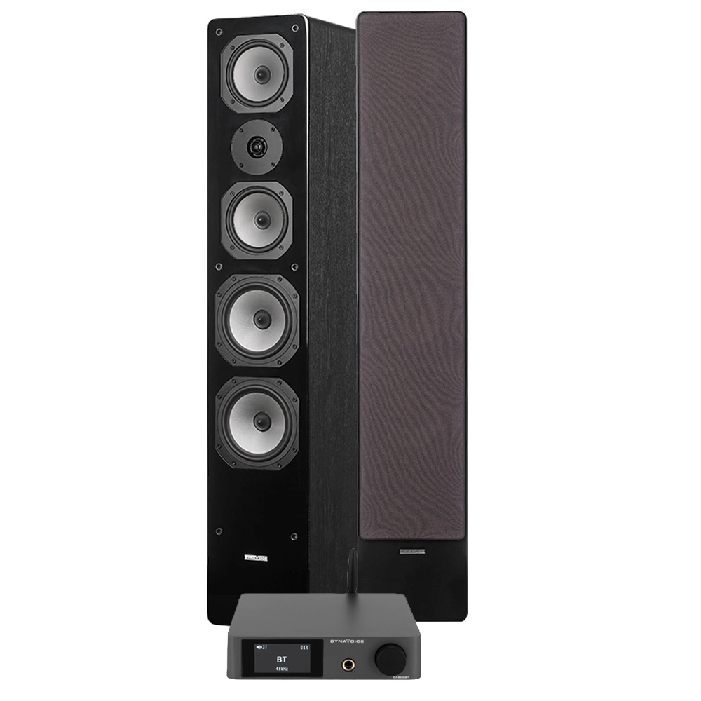 Dynavoice CA802BT & Challenger M-65 i svart, stereopaket