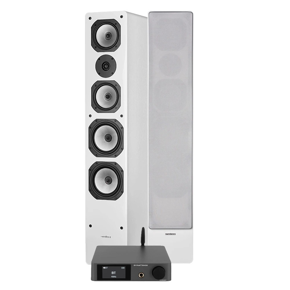 Dynavoice CA802BT & Challenger M-65 i svart, stereopaket