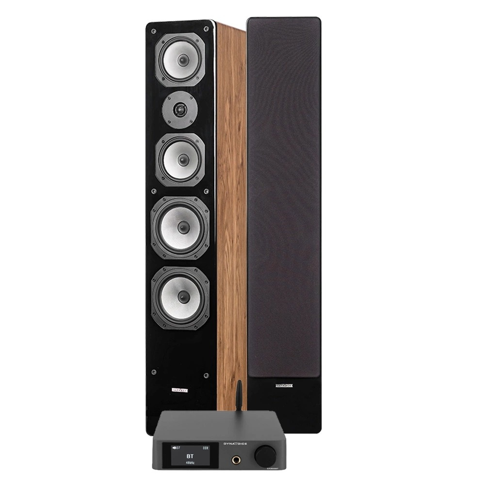 Dynavoice CA802BT & Challenger M-65 i svart, stereopaket