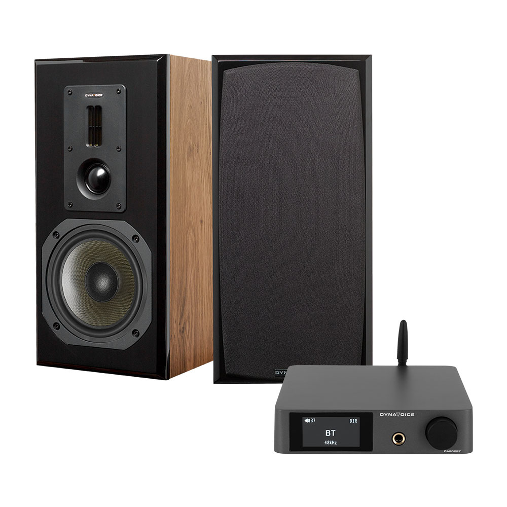 Dynavoice CA802BT & Definition DM-6II i eg, stereopakke