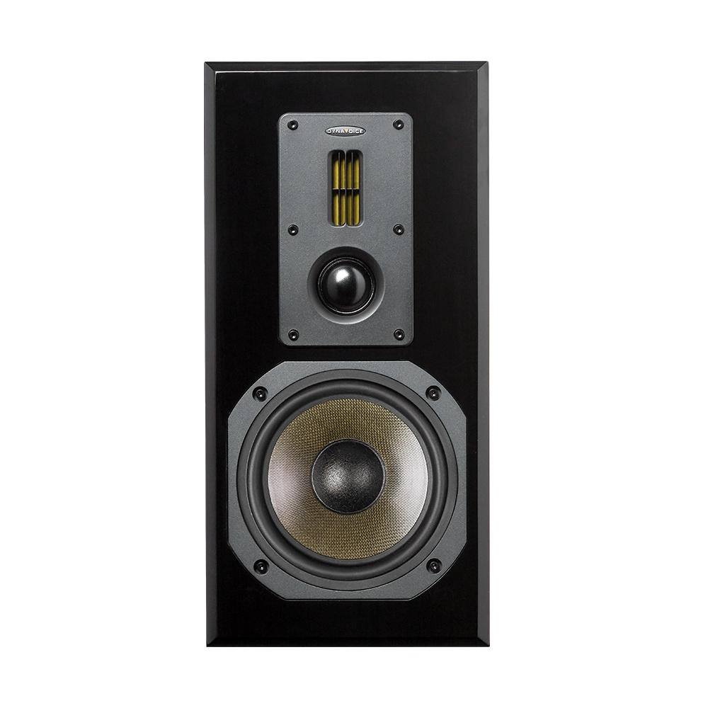 Dynavoice Definition DM-6II med Fosi Audio MC331, stereopakke