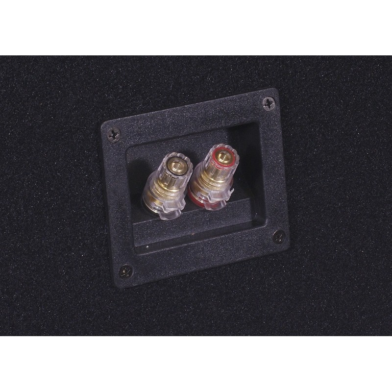 Bass Habit E300D2 i portet kabinet med SP31001FR, 2x12-baspakke