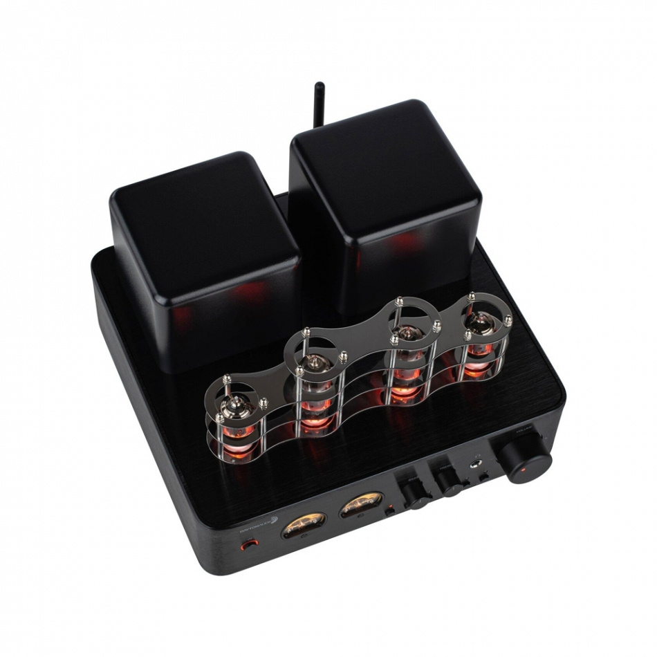 Dayton Audio HTA100 & Dynavoice DM-6II i eg, stereopakke