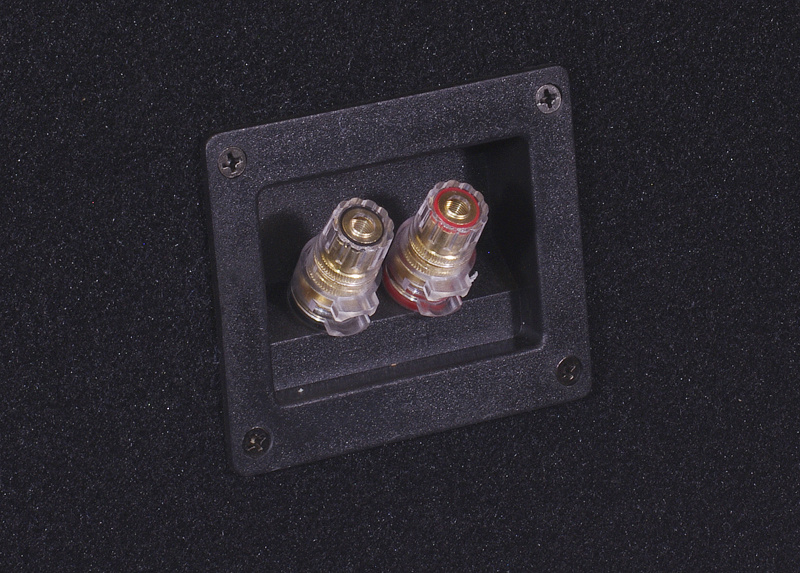 2-pak GAS MAX S1-12D1 i portet kasse