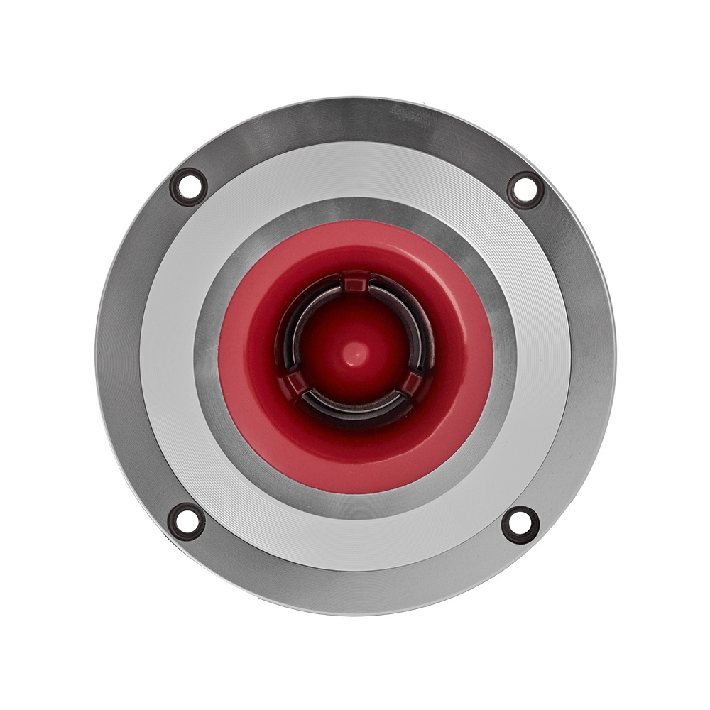 Bass Habit PL212A med Rebel-raggarplanke og forstærker