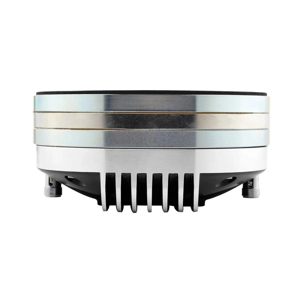 DS18 PRO-DRN2, ekstrem 2-tommers driver med horn