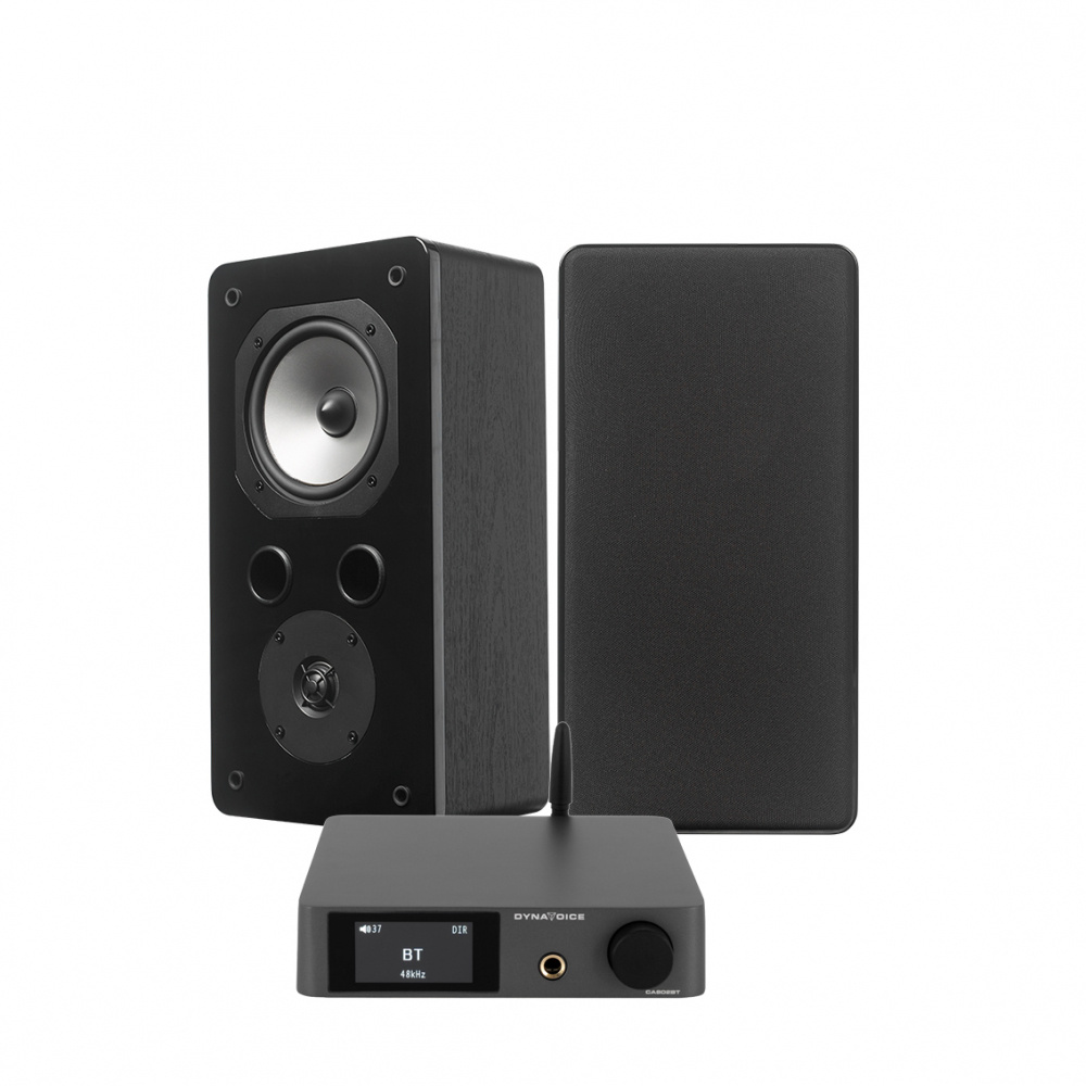 Dynavoice CA802BT & Challenger S-5S vit, stereopaket